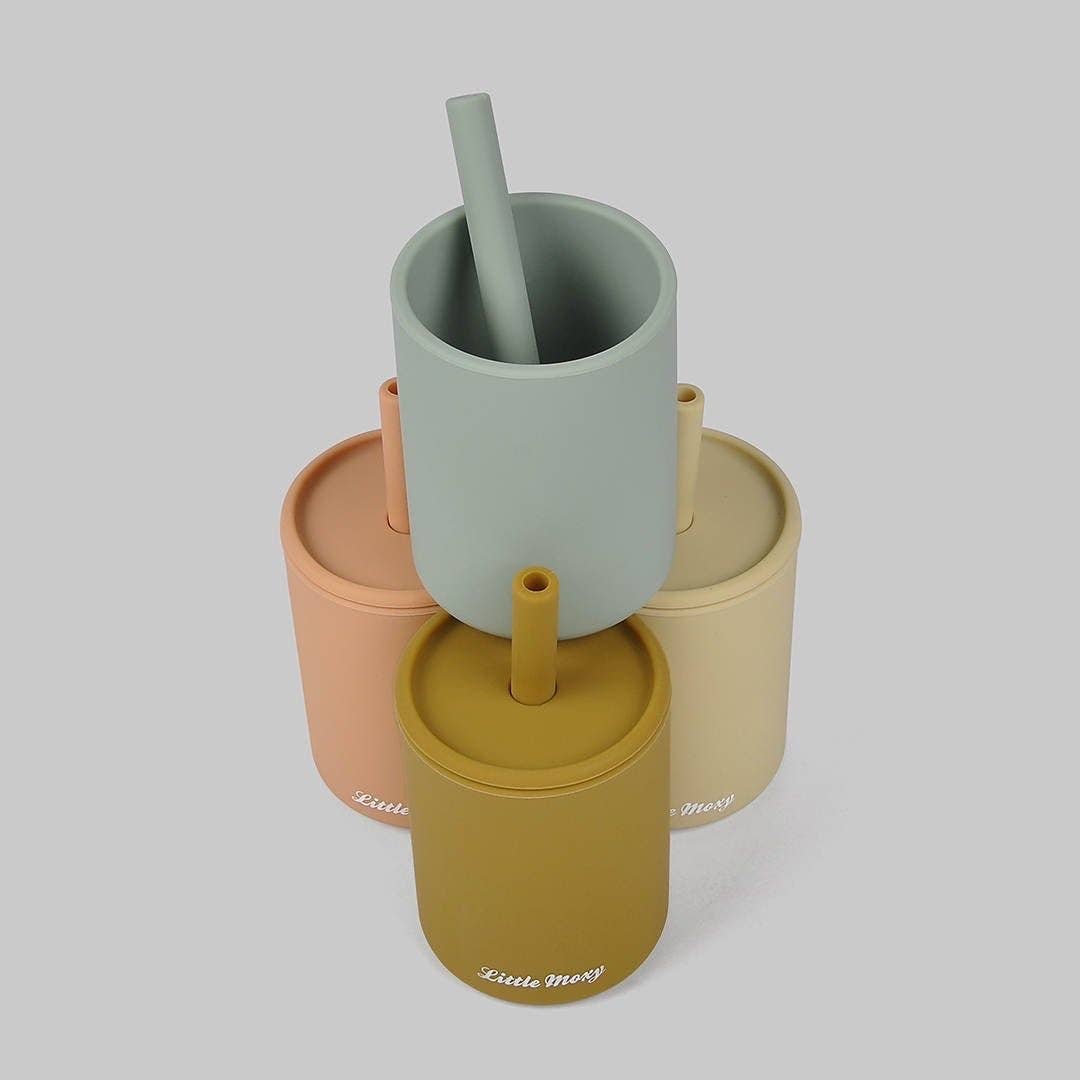 Little Moxy – wholesale Drinking glass/cup – Kids & Baby – Sage 2-in-1 Bite Safe Baby Drinking Cup2