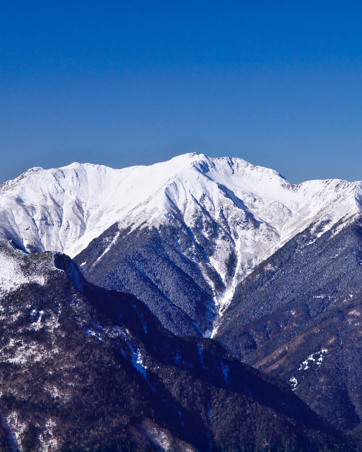 nomina - Wholesale Sparkling Water - nomina Extra Sparkling Spring Water Made in Japan - 24 cans 3