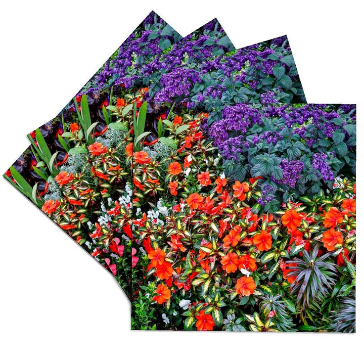 3dRose - Vendita all'ingrosso Sottobicchiere - 3dRose, USA, Oregon. Giardino di Cannon Beach. Impatiens. Gerani. Eliotropio 1., Sottobicchiere