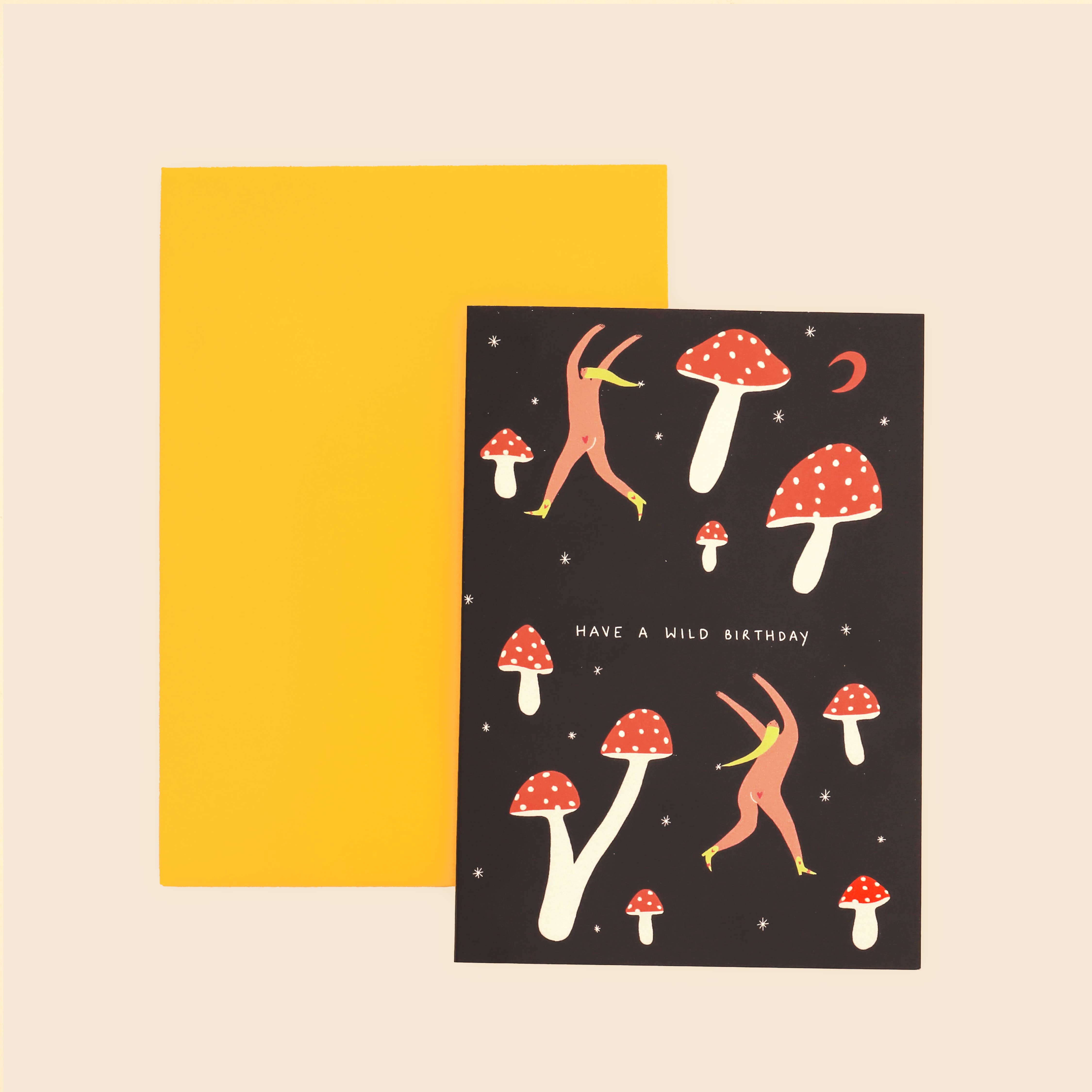 Little Black Cat Illustrated Goods – wholesale Birthday card – Wild Birthday Card | Cheeky Birthday Card | Happy Birthday1