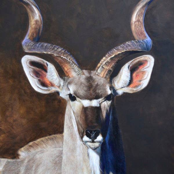 Grande Kudu African Safari Tela de Animais Impressão de Arte da Vida Selvagem por atacado de James Corwin Fine Art