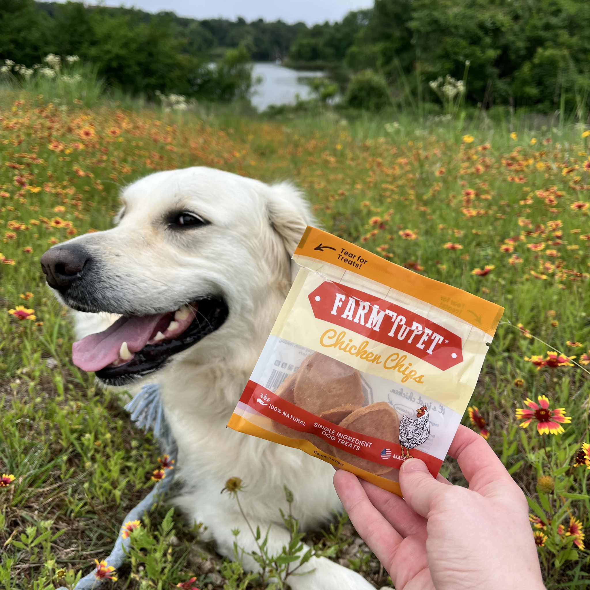 Farm to Pet Healthy Dog Treats - Wholesale Pet Treats - Dog - Chicken Chips Healthy Dog Snack Pack Bundle (24 pack)3