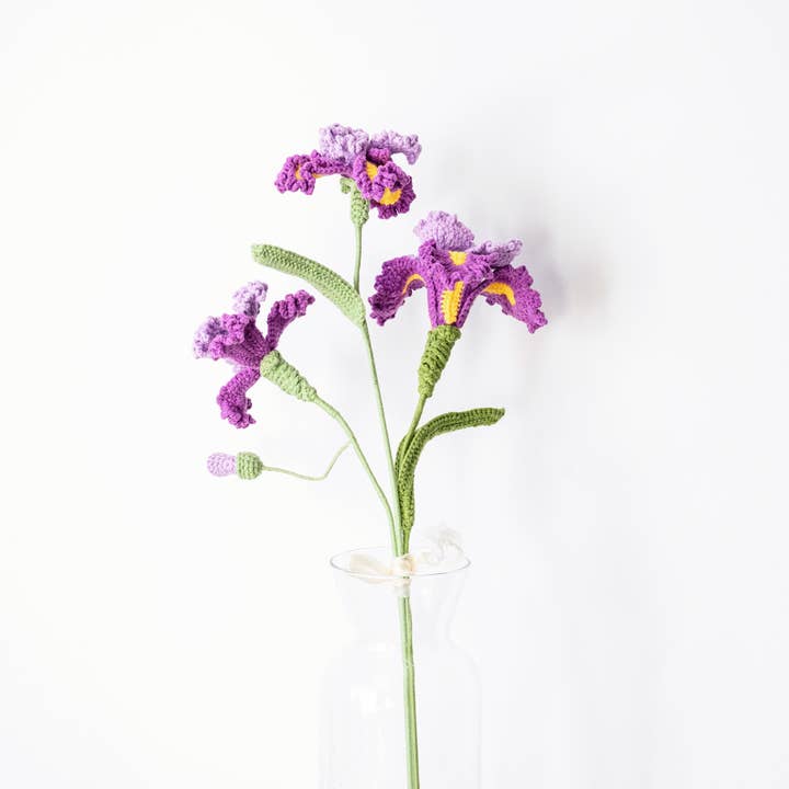 Iris for wholesale by The Way to You Canada