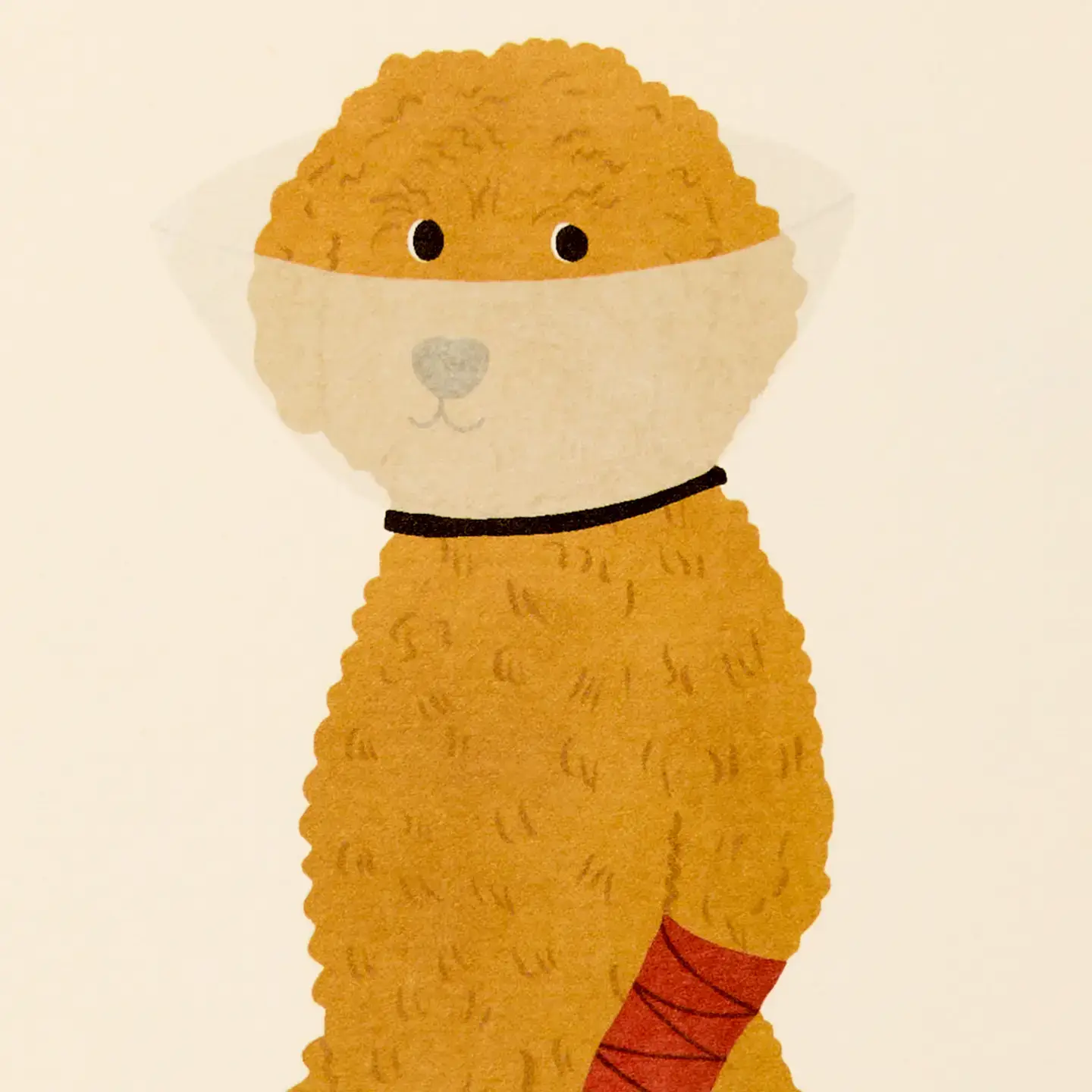 Gabrielle & Celine Greeting Cards Australia - Vente Carte de bon rétablissement - Carte de prompt rétablissement | Carte de vœux avec signature en feuille3