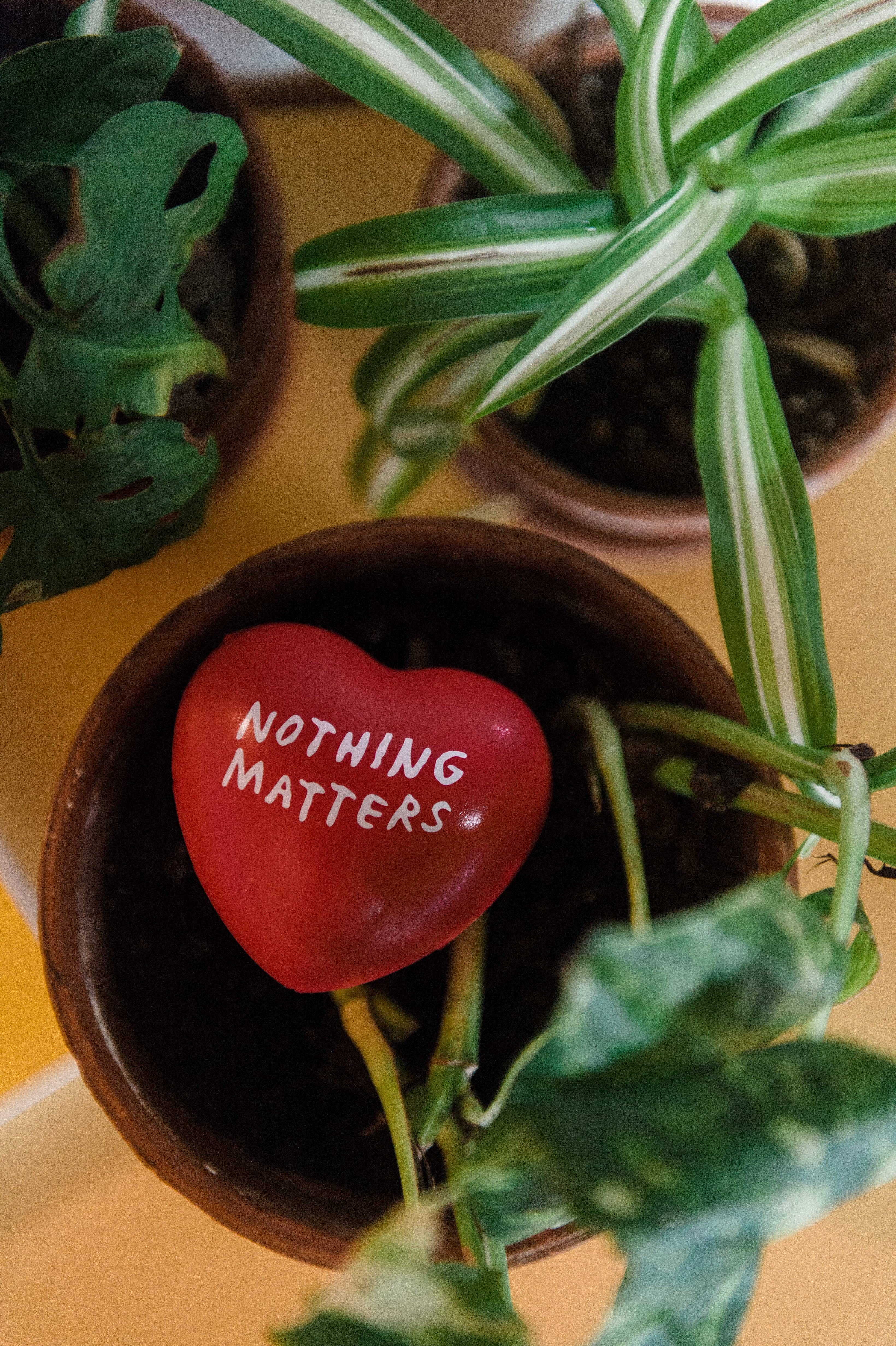 Third Drawer Down USA - Wholesale Stress Relief Ball/Dough - Nothing Matters Stress Toy X Adam Jk3