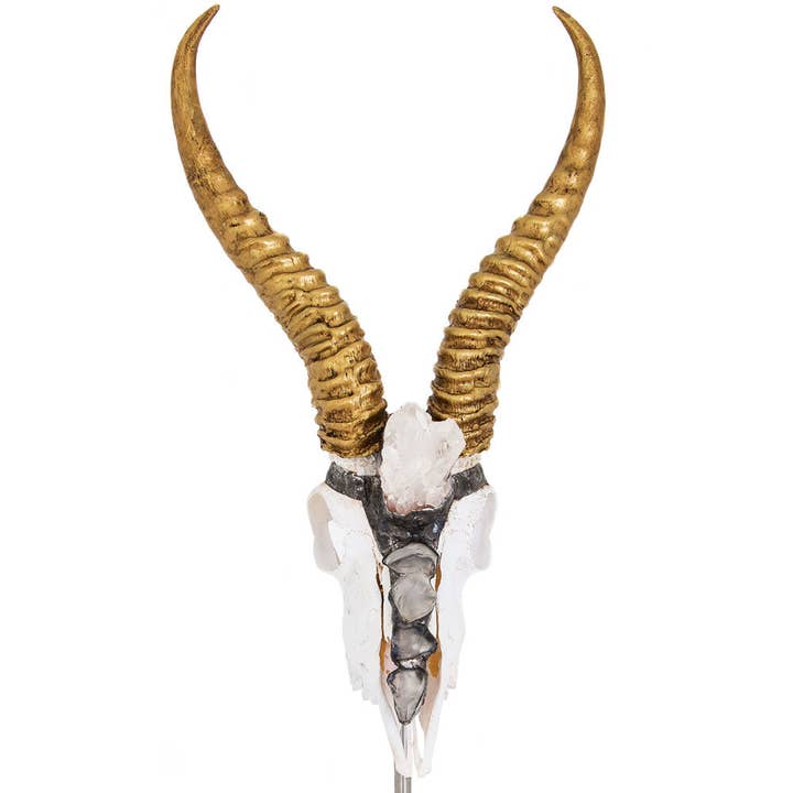 Narelle Stand Mount Springbok für den Großhandel von Jamie Dietrich Designs