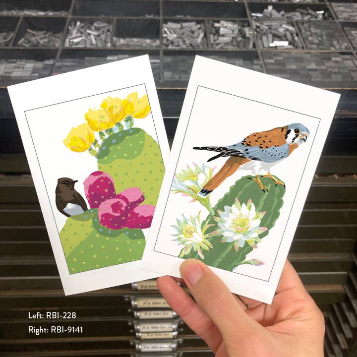 Rigel Paper - Wholesale Postcard - RBI-9141 Kestrel Raptor Bird & Cactus Flower Desert Postcard1