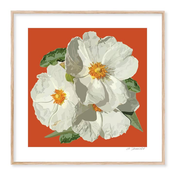 Kunstdruck Blumen | Felsenrosen Blumen Giclée für den Großhandel von The Red Barn Press