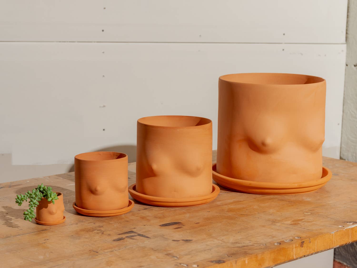 GROUPPARTNER - Wholesale Plant Pot - 8" Terra-Cotta boob pot (With Saucer)3