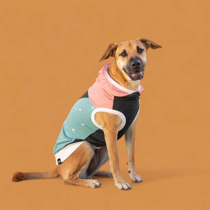 The Boardwalk for wholesale by The Long Dog Clothing Co.