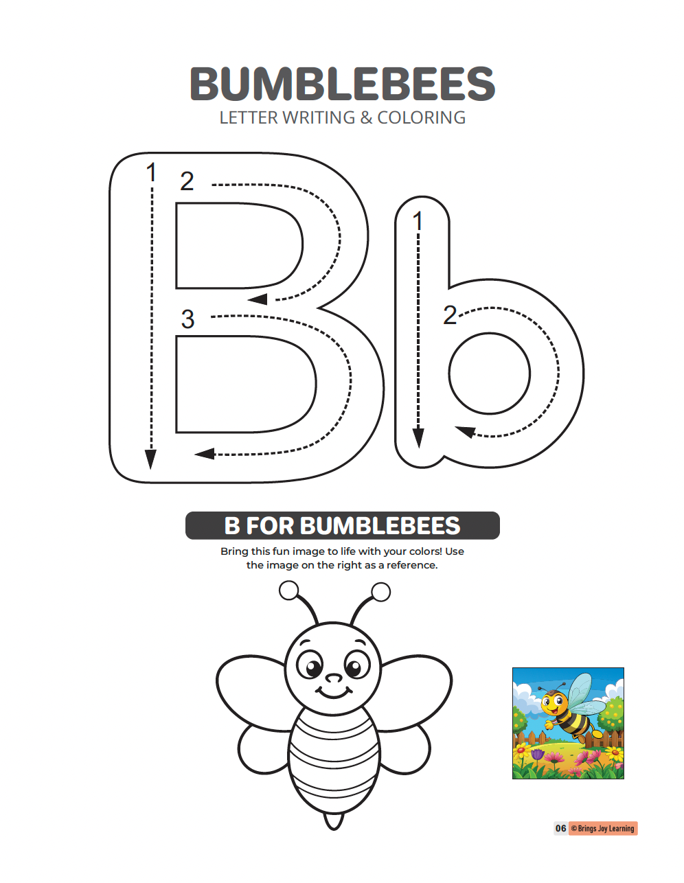 Brings Joy Learning - Wholesale Preschool Book (3-5) - Complete Pre-Kindergarten Set (Ages 2 - 5)4