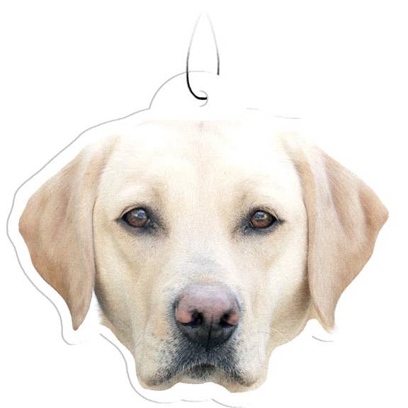 Spoontiques, Inc - Wholesale Air Freshener - Yellow Lab Air Freshener