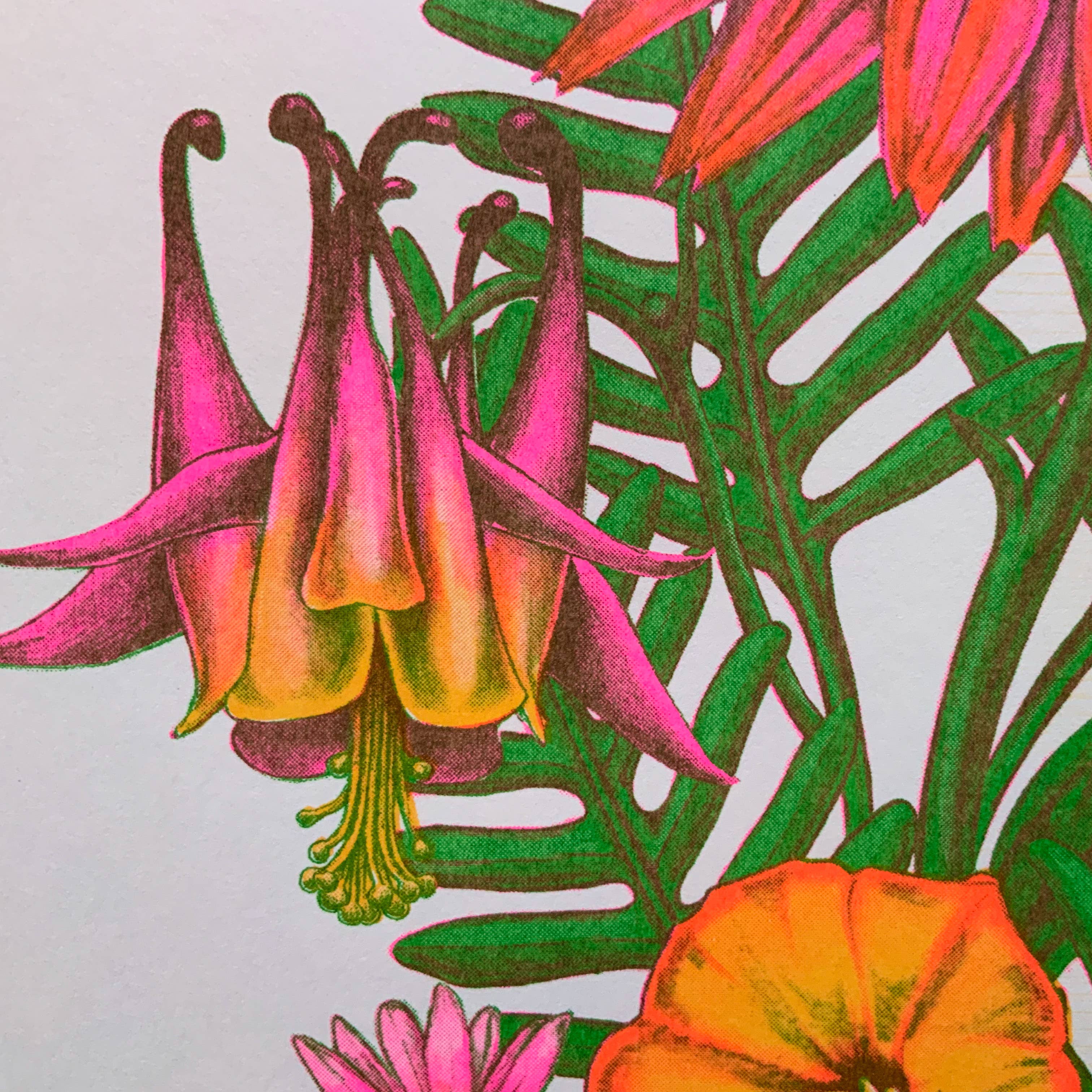 Psychedelic Lens - Wholesale Art Print - Butterfly Riso Print3