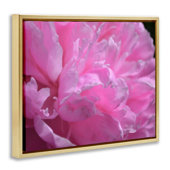 Stupell Industries - Wholesale Wall sign - Pink Carnation Photography - Framed Wall Art16