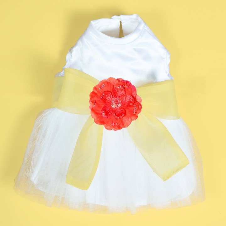 The Madeleine arnés perro vestido con faja amarilla para venta al por mayor de Dog in the Closet