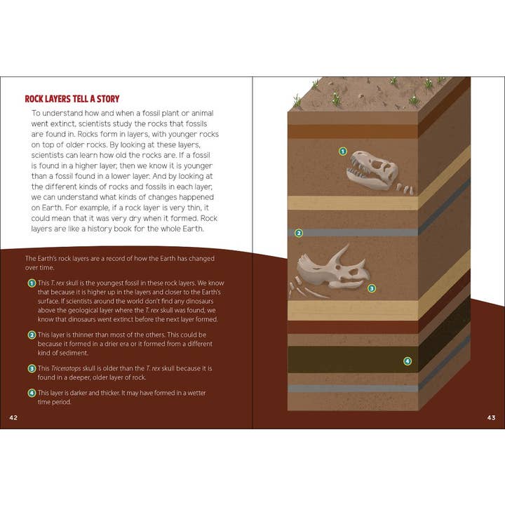 AdventureKEEN - Wholesale Book - Kids - Fossils for Kids