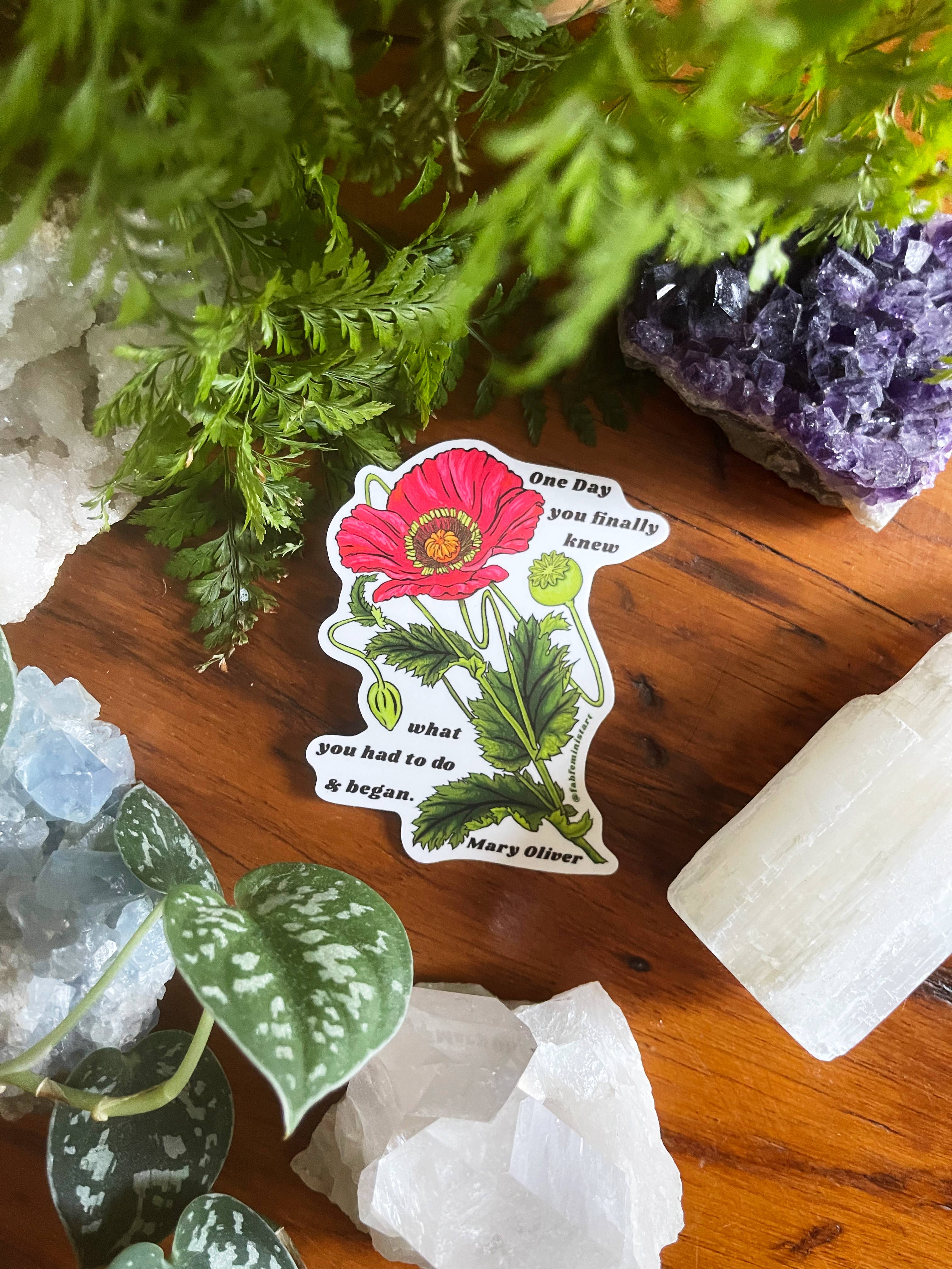 Fabulously Feminist - Wholesale Sticker - Op een dag wist je het eindelijk en begon je, Mary Oliver: Sticker7