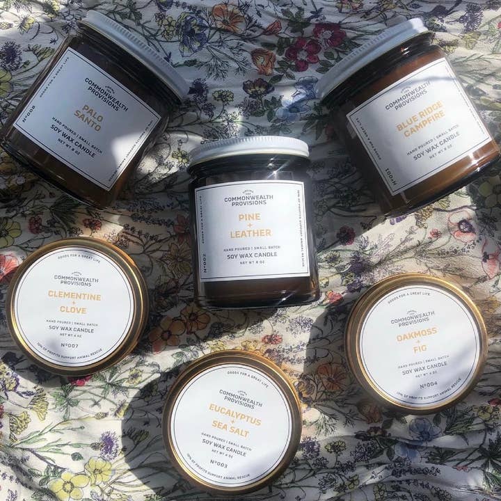 Commonwealth Provisions - Vendita all'ingrosso Candele da viaggio - Candela da viaggio — Clementine + chiodi di garofano