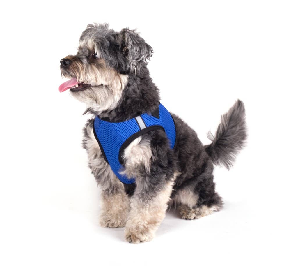 The Worthy Dog - Wholesale Pet harness – Dog - Sidekick Harness14