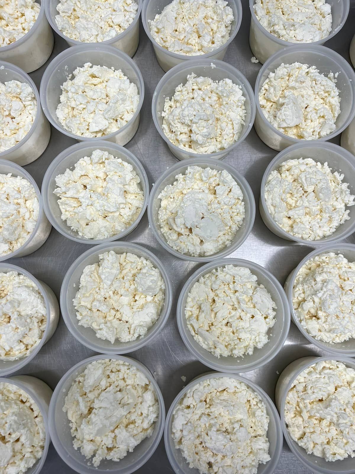 Prairie Fruits Farm & Creamery - Wholesale Cheese - Farmer's (Cottage) Cheese 3Ib Tub2