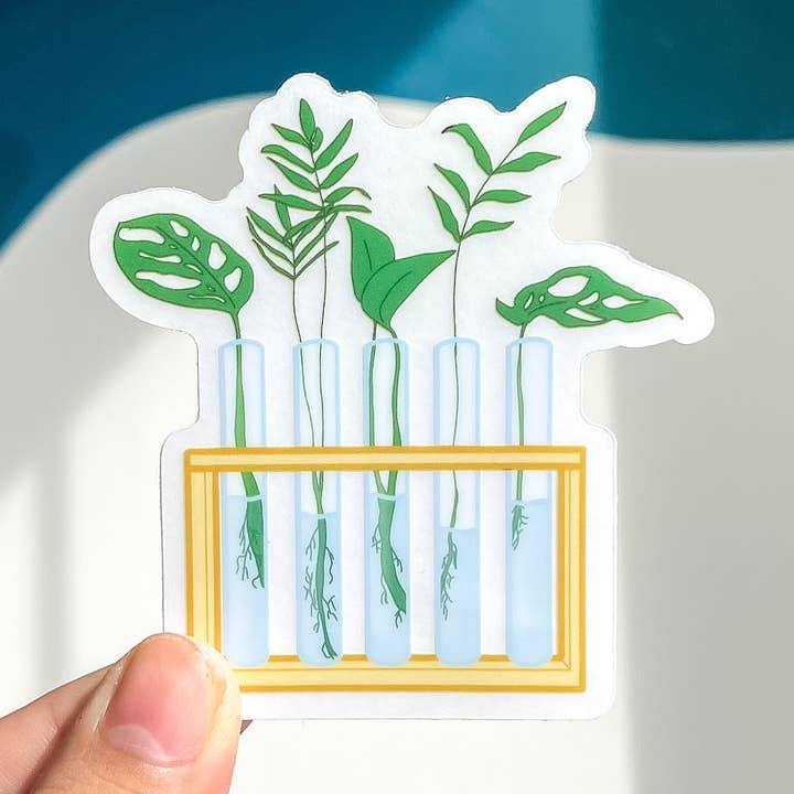 Pegatina de soporte de propagación de plantas para venta al por mayor de BambooByTundra