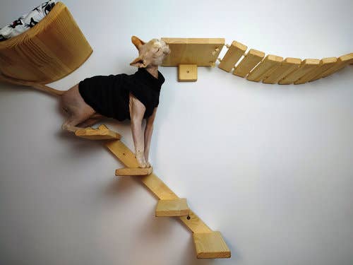 CATMUEBLES OÜ - Vente Griffoir – chat - Escalier en bois pour chat avec bords arrondis4