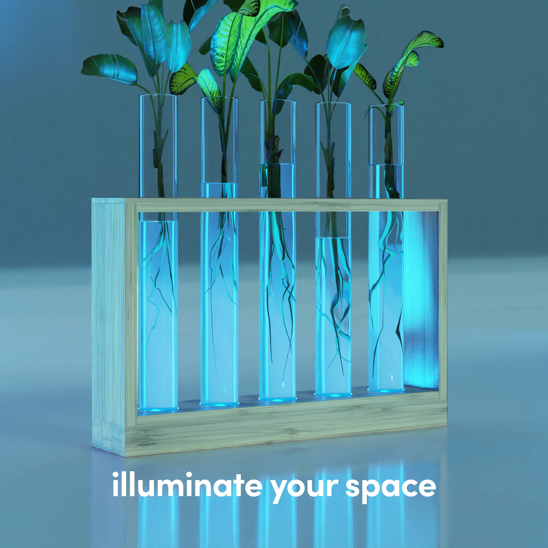 Planter's Choice - Wholesale Live Plant - Light Up Bamboo Vial Air Planter7