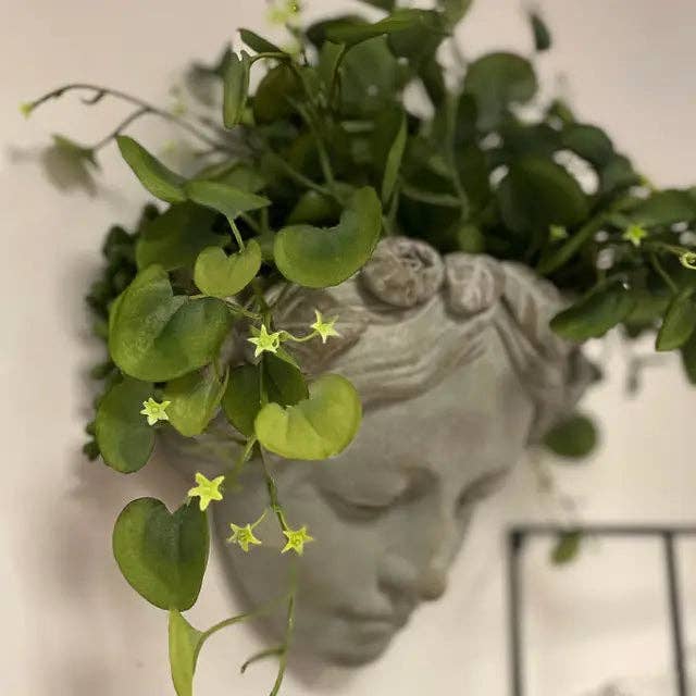 Vagabond Vintage - Vendita all'ingrosso Fioriere sospese - Ragazza in Cemento per Piante da Parete1