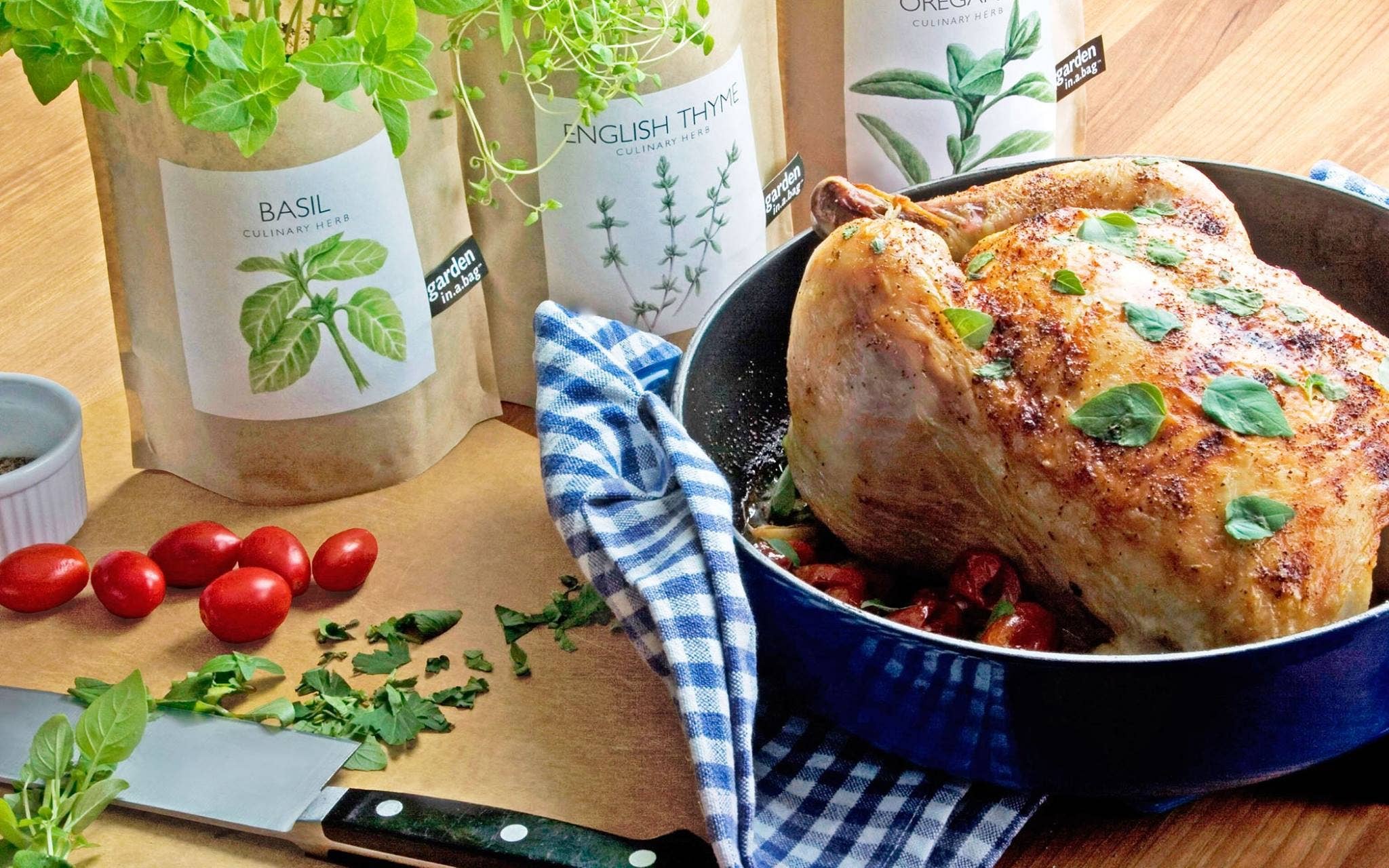 Potting Shed Creations, Ltd. - Wholesale Plant Seeds - Garden in a Bag | English Thyme | Spring Kitchen Garden Gift5