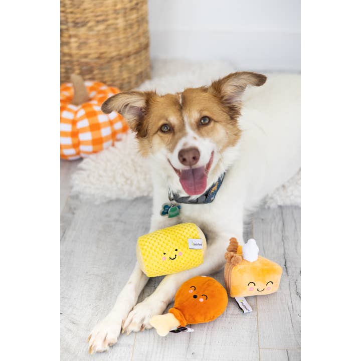 Pearhead - Wholesale Pet Plush Toy - Dog - Thanksgiving Dinner Fall Dog Toys, Set of 3