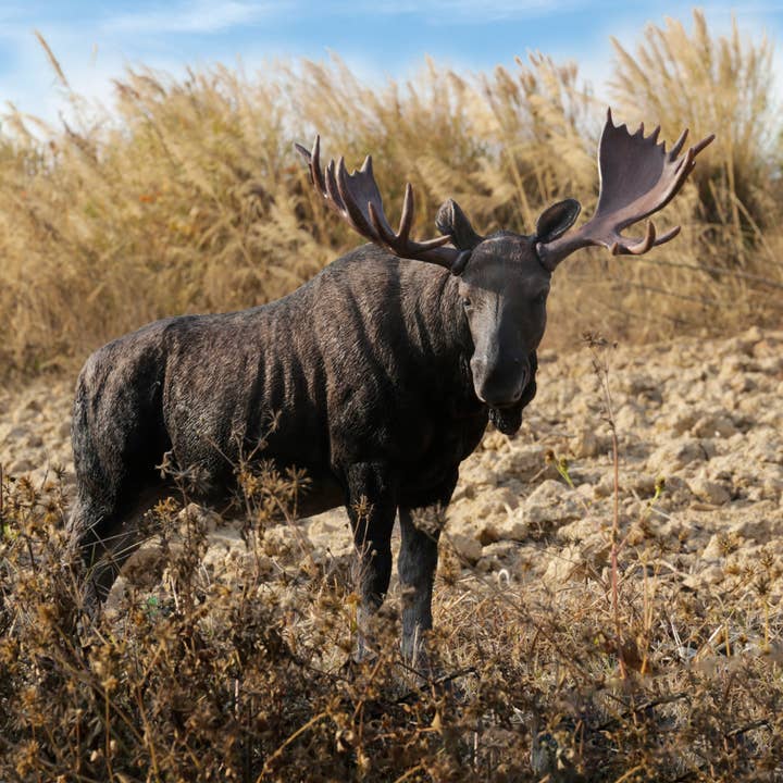 Standing Moose Statue for wholesale by Hi-Line Gift Ltd.