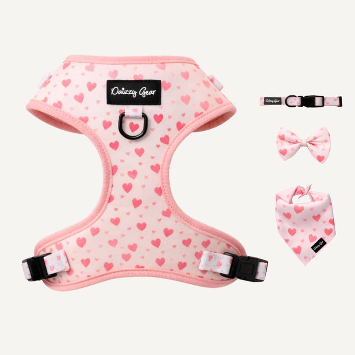 Pink Chic 4-Piece Dog Matching Set- Blushing Love for wholesale by Daizzy Gear