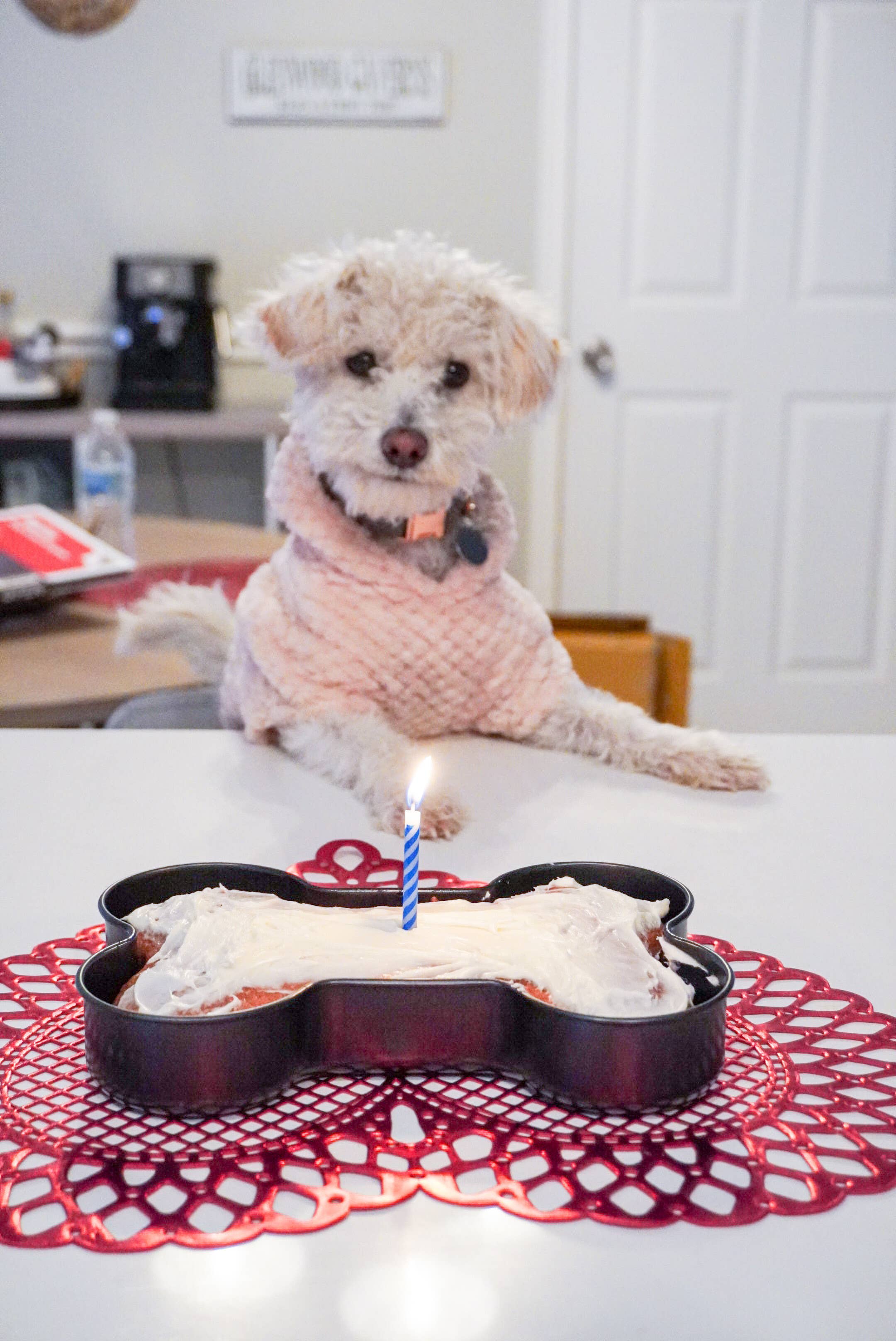 Midlee Designs - Wholesale Cake Pan - Midlee Nonstick Bone Shape Pan (Cake)6