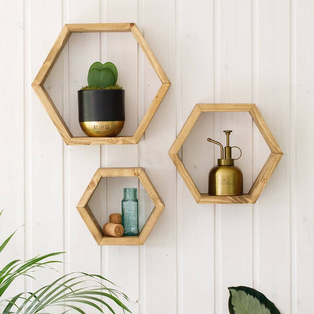 The Little Botanical – wholesale Succulent – Hoya Kerrii (Double Heart) 💚💚13