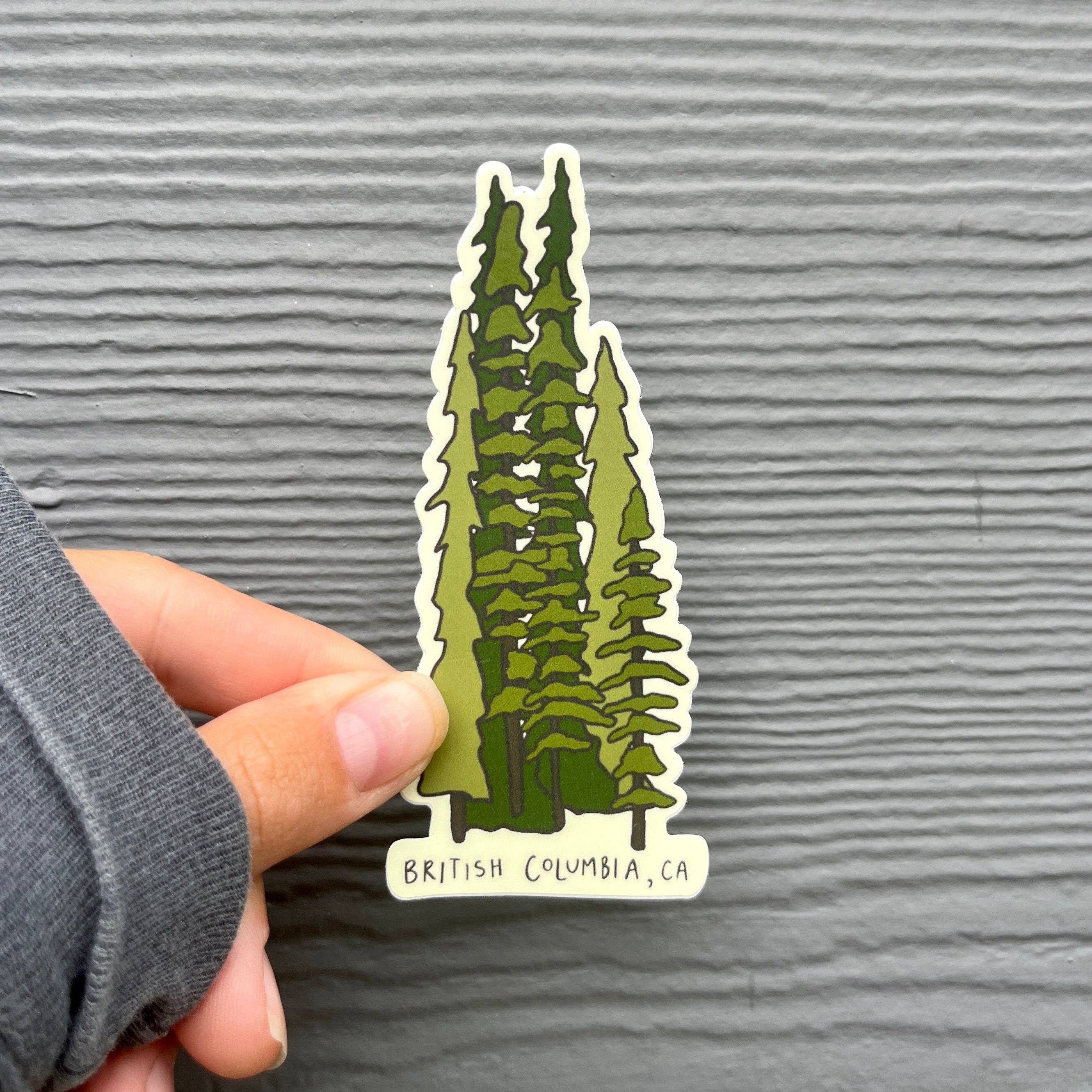 Wavy Baby Design - Wholesale Sticker - Tall Trees2