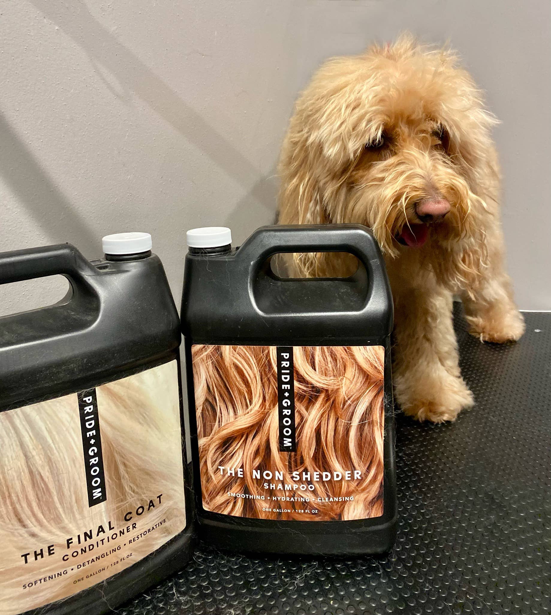 PRIDE+GROOM - Wholesale Pet Shampoo - Dog - GALLON SAMPLE PACK SPECIAL1