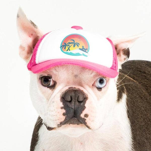 PupLid - Wholesale Pet Hat - Dog - Surfer Dog Standard or Namedrop | Trucker Hat for Dogs55