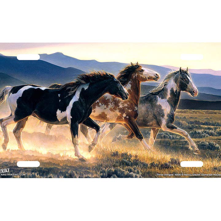 Airstrike - Wholesale Sign - "Three Amigos" - Decorative License Plate