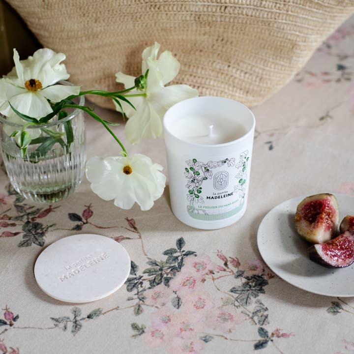 Fig Tree Candle from Mas Saba for wholesale by La Petite Madeleine