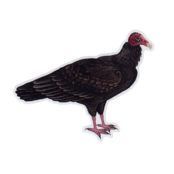 Kate Dolamore Art - Wholesale Sticker - Turkey Vulture Vinyl Bird Sticker0