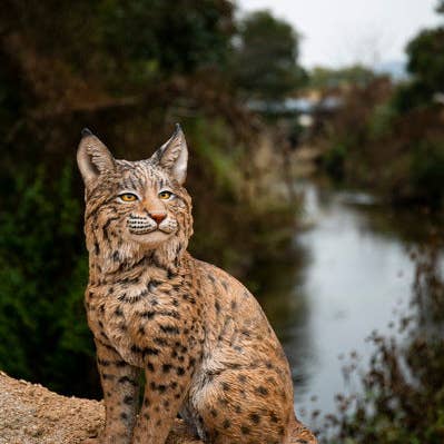 Sitting Bobcat Statue for wholesale by Hi-Line Gift Ltd.