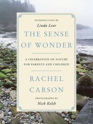 Sense of Wonder, The:Rachel Carson for wholesale by HarperCollins