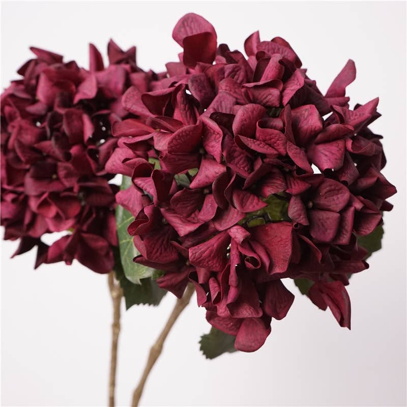 Angel Isabella - Wholesale Artificial Flowers - 24"Lux Designer-Grade Ultra-Realistic Hydrangea–(7"Bloom)7