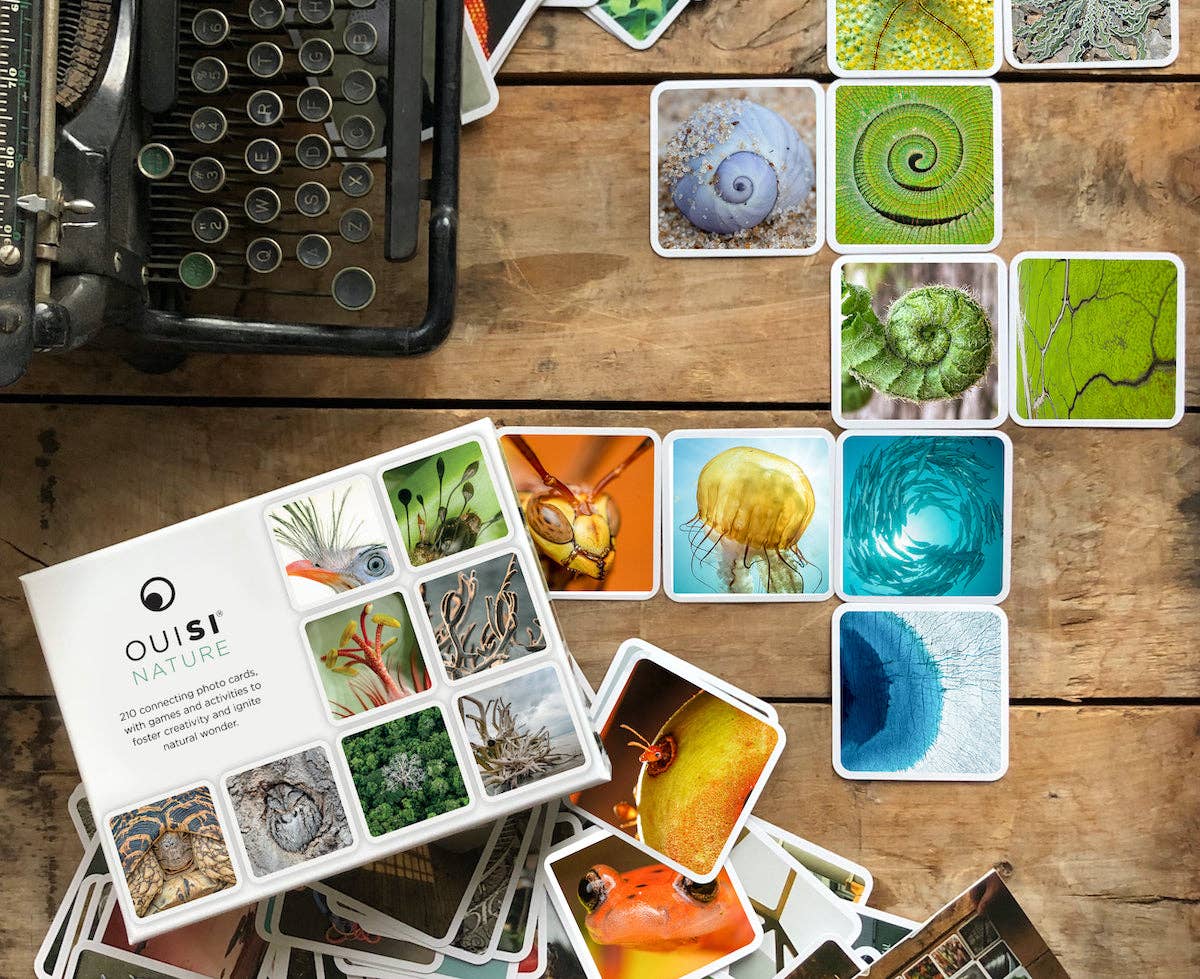 OuiSi - Wholesale Card Game - OuiSi Nature: Games of Visual Connection7