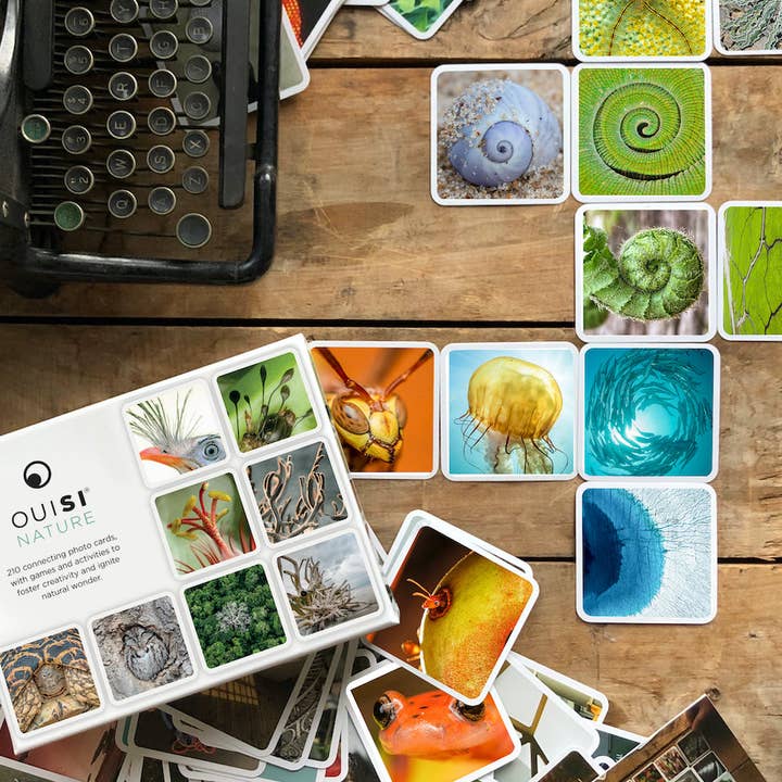 OuiSi - Wholesale Card Game - OuiSi Nature: Games of Visual Connection7