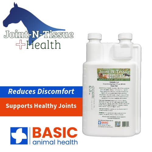 Joint-N-Tissue Health for Horses for wholesale by Basic Animal Health