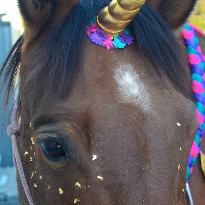 Circus Unicorn Shop - Venta al por mayor Disfraz - Gatos y perros - Cuerno de unicornio para caballo19