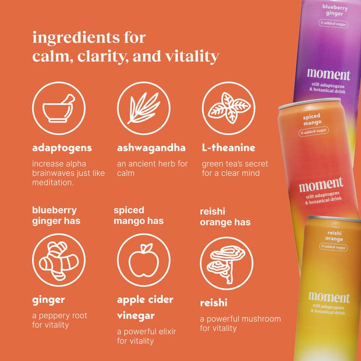Moment - Wholesale Flavored/Infused Water (Non-Carbonated) - Moment Botanical Water Mixed Variety 18 pack