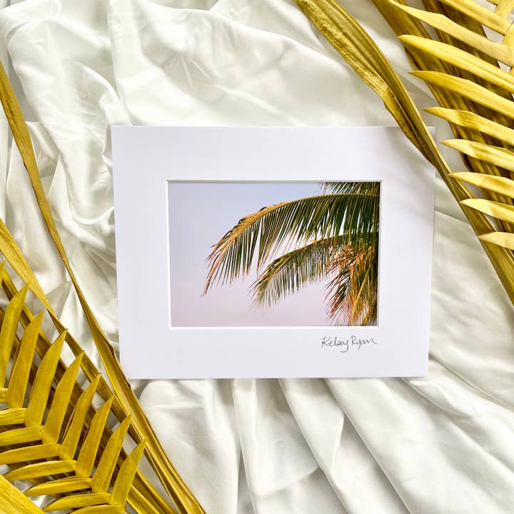 Fronde al Tramonto per la vendita all'ingrosso da parte di Kelsey Ryan Photography