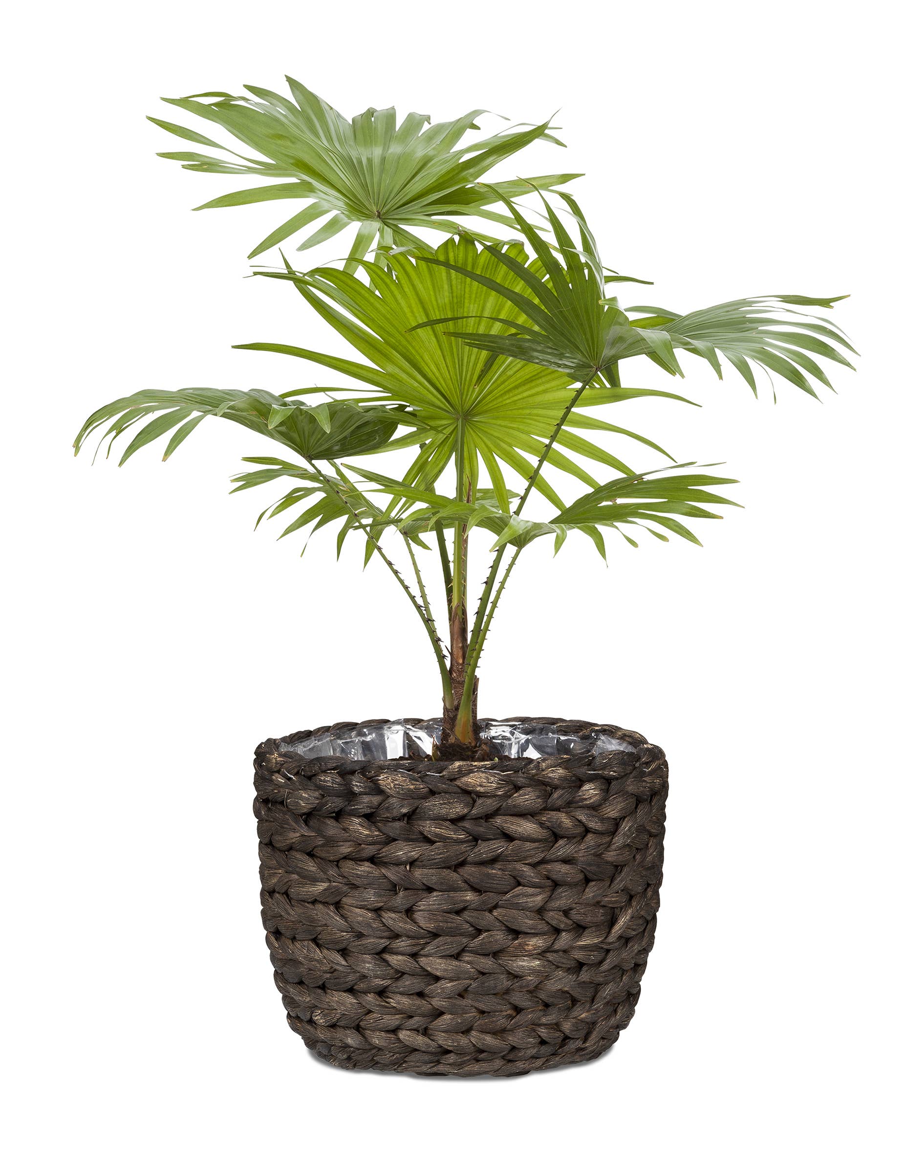 Scheurich – Großhandel Blumentopf – Korbgefäß/Pflanzgefäß 505 Aus Wasserhyazinthe1